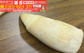 春日本店