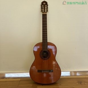 ギター G-80A