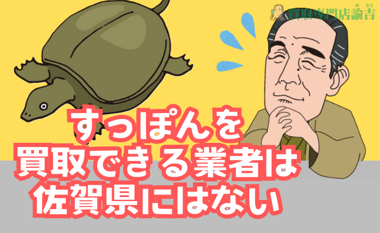 すっぽんを買取できる業者は佐賀県にはない