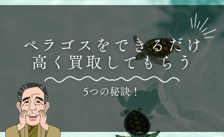 チューダー ペラゴスをできるだけ高く買取してもらう5つの秘訣！