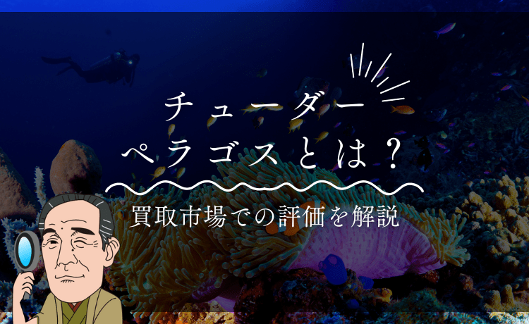 チューダー ペラゴスとは？買取市場での評価を解説